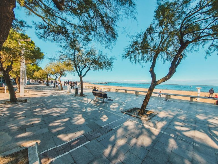 bassin arcachon