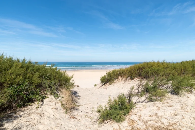 Biscarrosse