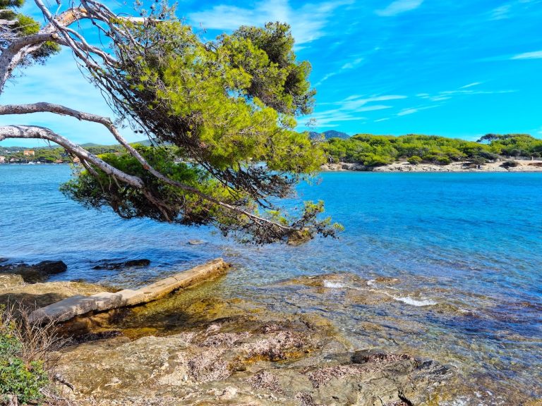 l'île des embiez